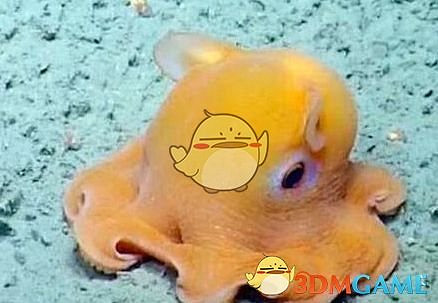 《鬼谷八荒》遊戲怪物圖鑒一覽