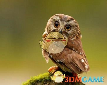 《鬼谷八荒》遊戲怪物圖鑒一覽