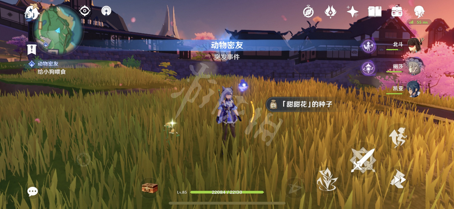 《原神》稻妻怎麽刷好感？稻妻快速刷好感位置分享