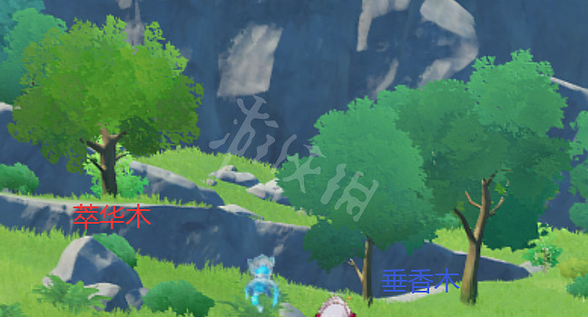 《原神》萃華木在哪裡採集？萃華木砍伐路線推薦