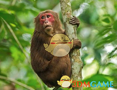 《鬼谷八荒》遊戲怪物圖鑒一覽