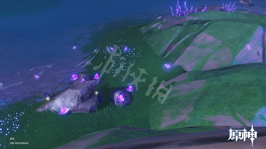 《原神》晶蝶在哪抓？晶蝶捕捉路線推薦