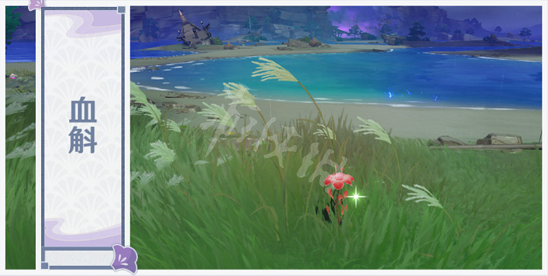 《原神》稻妻特產有什麽？2.0稻妻特產介紹