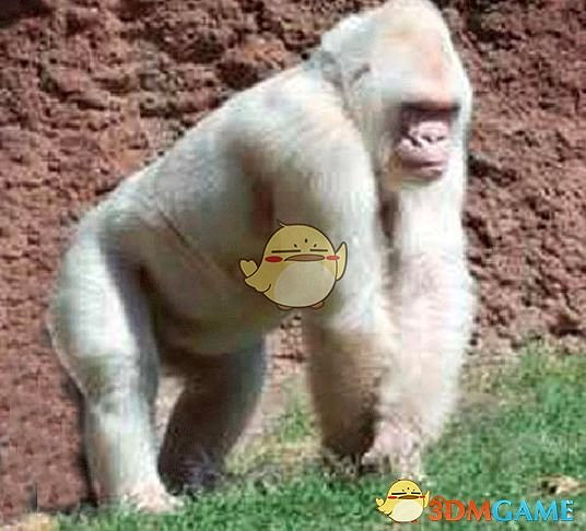 《鬼谷八荒》遊戲怪物圖鑒一覽