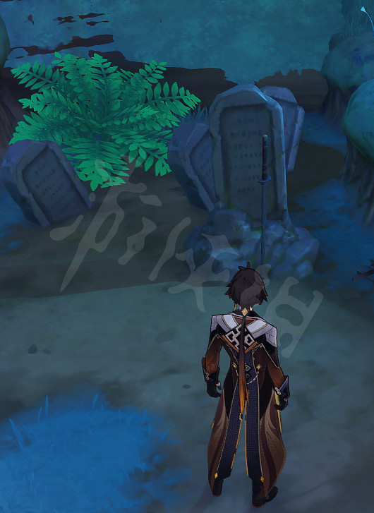 《原神》血斛獻花位置在哪？血斛獻花墓碑位置一覽