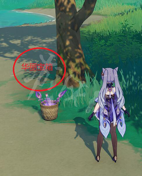《原神》遊醫的奧德賽筆記在哪裡？遊醫的奧德賽寶箱及筆記位置