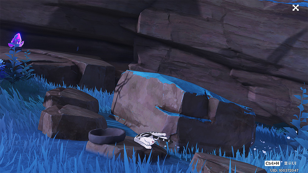 《原神》喂貓成就怎麽玩?貓的贈禮成就玩法分享 《原神》喂貓成就怎麽玩?貓的贈禮成就玩法分享