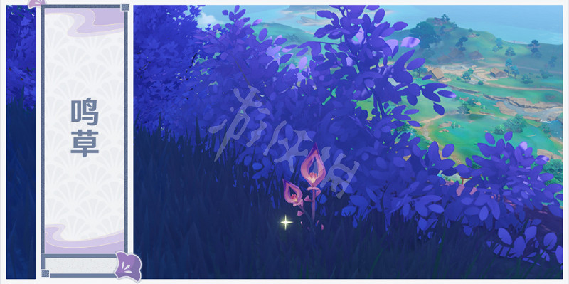 《原神》稻妻特產有什麽？2.0稻妻特產介紹