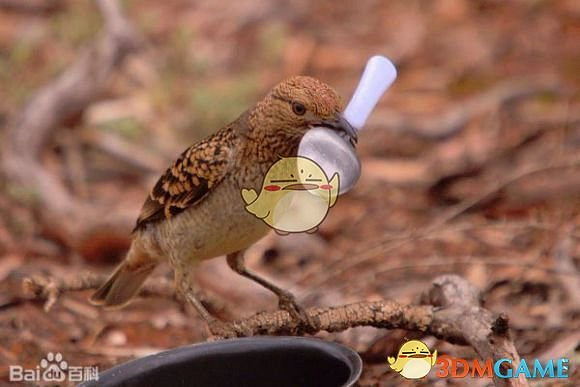 《鬼谷八荒》遊戲怪物圖鑒一覽