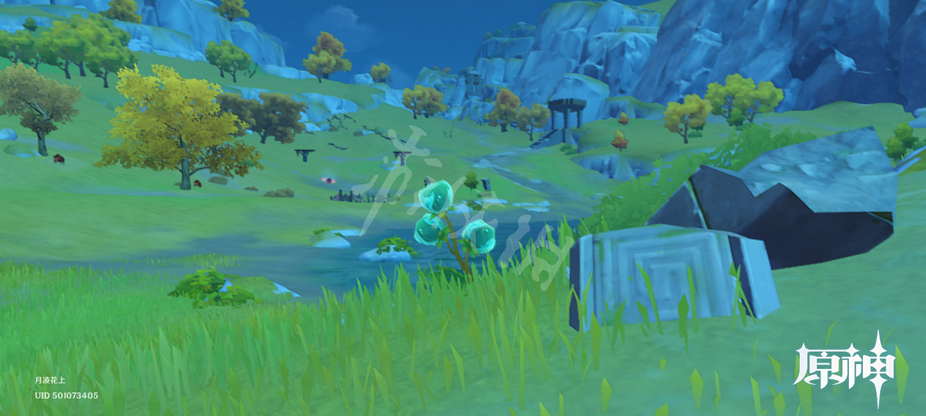 《原神》氣球草有什麽用?氣球草功能介紹 《原神》氣球草有什麽用?氣球草功能介紹