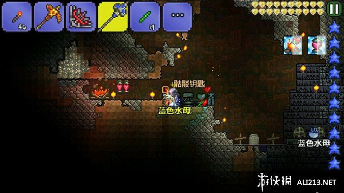 《泰拉瑞亞》騙傷介紹及原理分析 什麽事騙傷