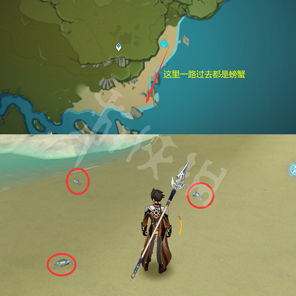 《原神》螃蟹在哪捕捉?全種類螃蟹捕捉位置一覽 《原神》螃蟹在哪捕捉?全種類螃蟹捕捉位置一覽