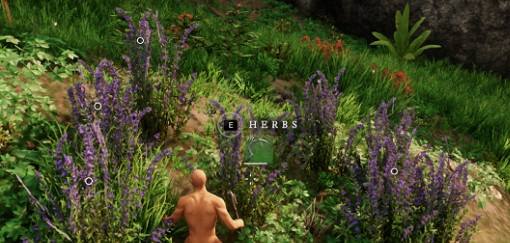 《新世界》烹飪怎麽提升？烹飪技能提升心得