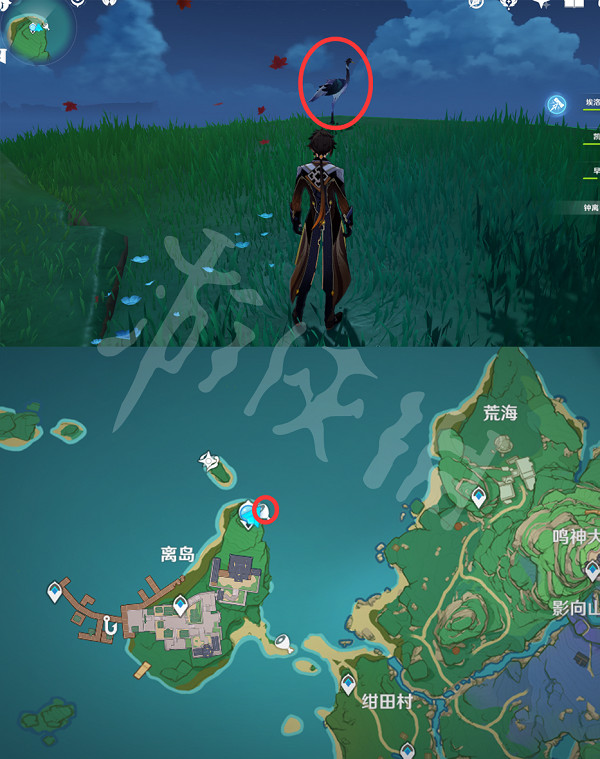 《原神》禽鳥在哪抓?全禽鳥捕捉位置一覽 《原神》禽鳥在哪抓?全禽鳥捕捉位置一覽