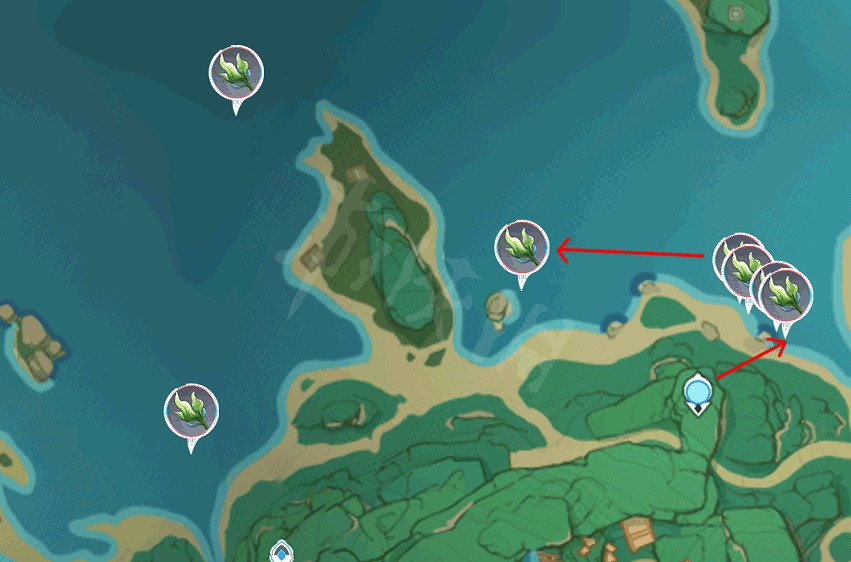 《原神》海草哪裡多？全282個海草採集路線分享