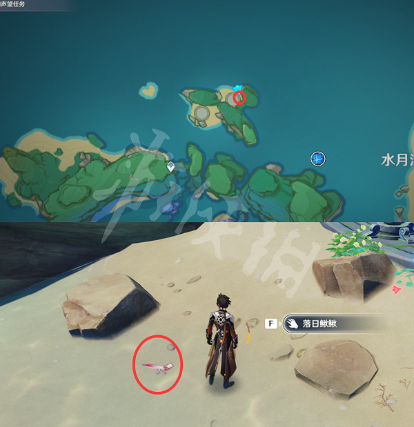 《原神》鰍鰍在哪抓?鰍鰍捕獲位置一覽 《原神》鰍鰍在哪抓?鰍鰍捕獲位置一覽