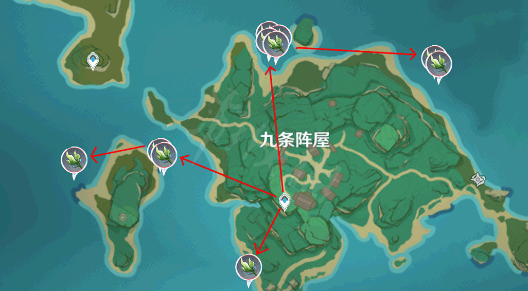 《原神》海草哪裡多？全282個海草採集路線分享