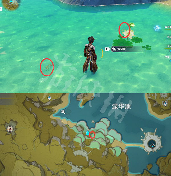 《原神》螃蟹在哪捕捉?全種類螃蟹捕捉位置一覽 《原神》螃蟹在哪捕捉?全種類螃蟹捕捉位置一覽