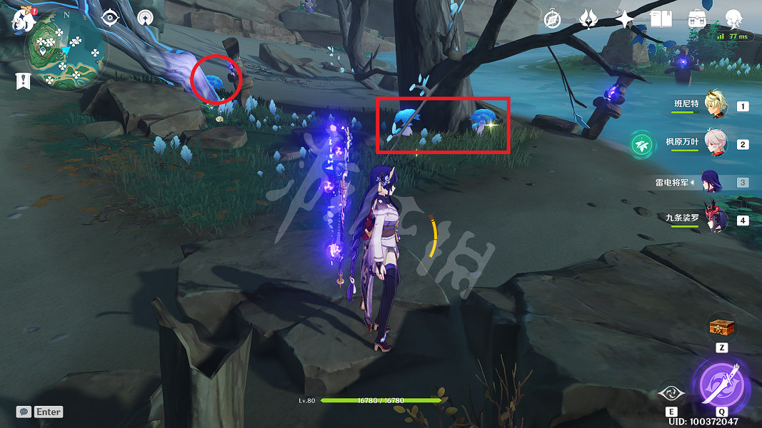 《原神》幽燈蕈在哪裡買？幽燈蕈獲得方法介紹