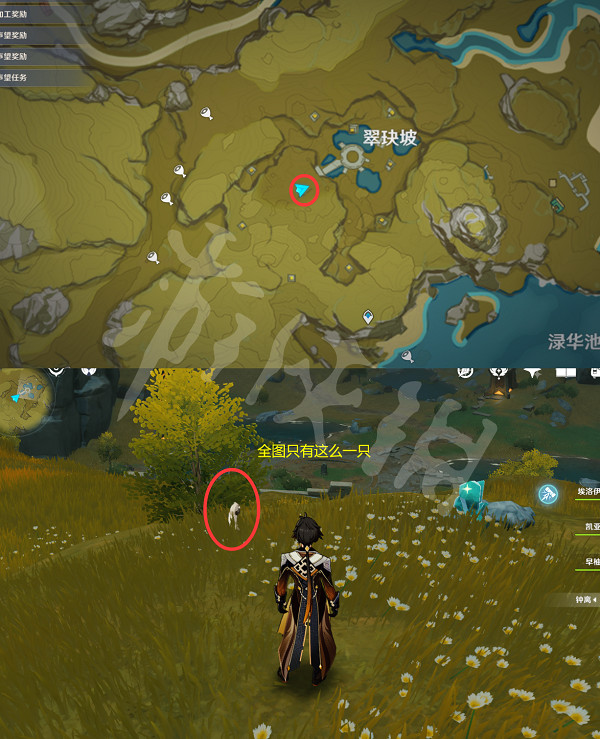 《原神》動物在哪捕捉?小動物捕捉位置分享 《原神》動物在哪捕捉?小動物捕捉位置分享