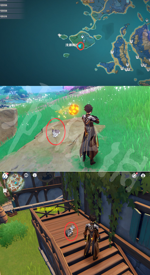 《原神》動物在哪捕捉?小動物捕捉位置分享 《原神》動物在哪捕捉?小動物捕捉位置分享