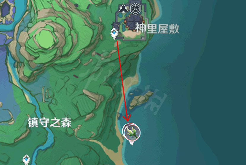 《原神》海草哪裡多？全282個海草採集路線分享