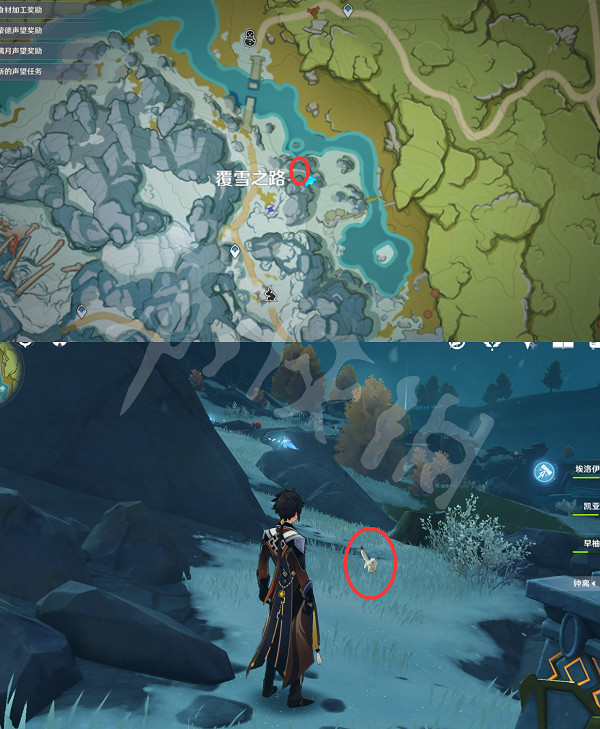 《原神》動物在哪捕捉?小動物捕捉位置分享 《原神》動物在哪捕捉?小動物捕捉位置分享