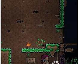 《泰拉瑞亞》速刷殭屍方法 夜晚刷殭屍攻略