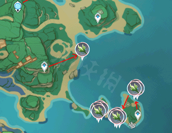 《原神》海草哪裡多？全282個海草採集路線分享