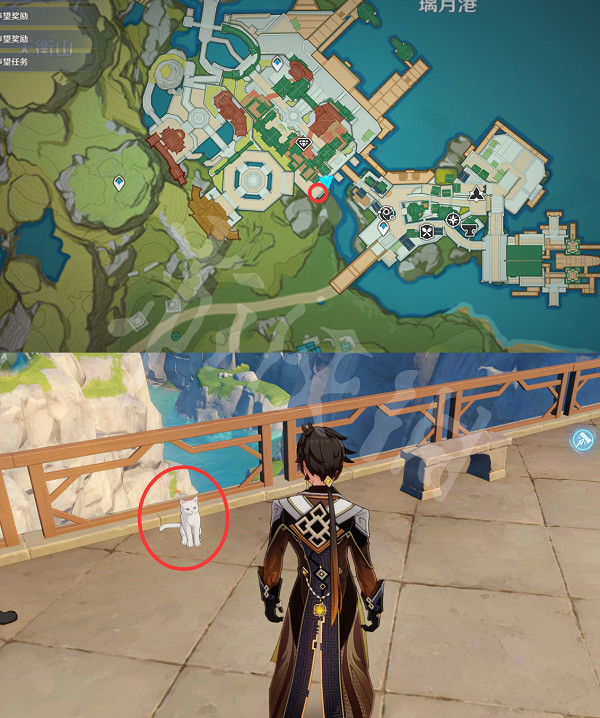 《原神》動物在哪捕捉?小動物捕捉位置分享 《原神》動物在哪捕捉?小動物捕捉位置分享