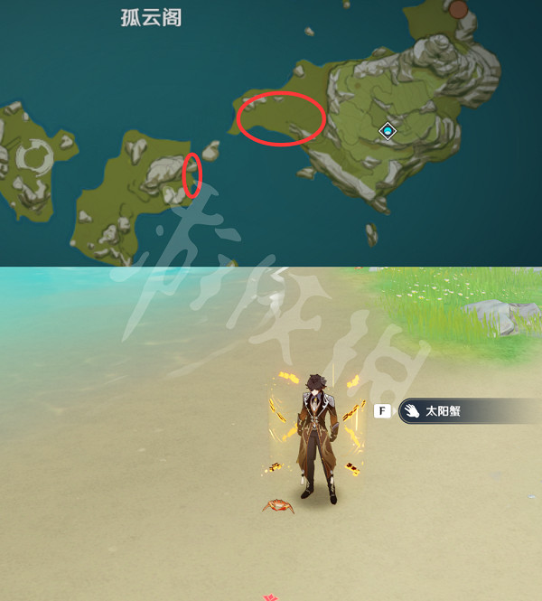 《原神》螃蟹在哪捕捉?全種類螃蟹捕捉位置一覽 《原神》螃蟹在哪捕捉?全種類螃蟹捕捉位置一覽