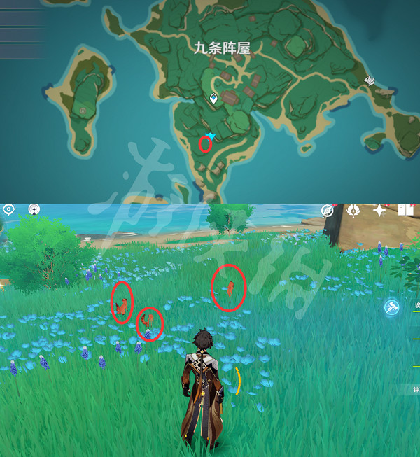 《原神》動物在哪捕捉?小動物捕捉位置分享 《原神》動物在哪捕捉?小動物捕捉位置分享
