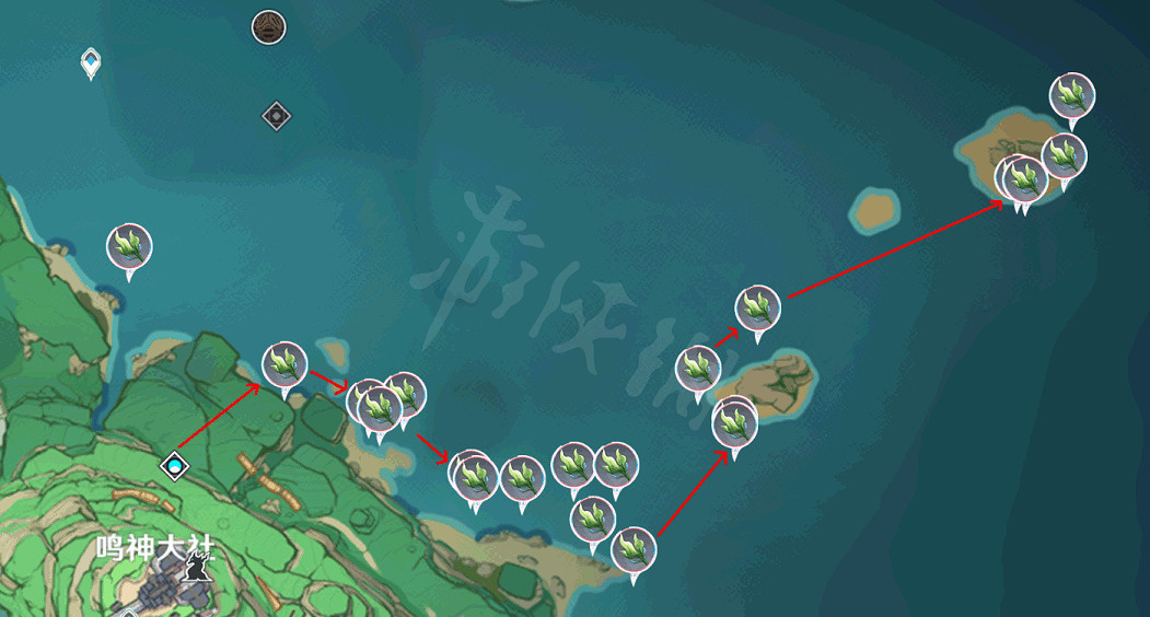 《原神》海草哪裡多？全282個海草採集路線分享