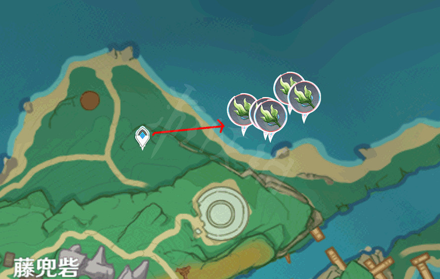 《原神》海草哪裡多？全282個海草採集路線分享
