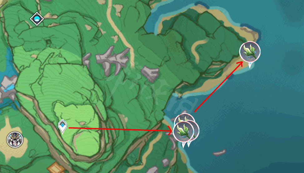 《原神》海草哪裡多？全282個海草採集路線分享