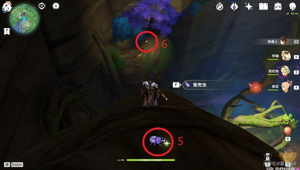 《原神》鬼兜蟲哪裡多?鬼兜蟲收集點位介紹 《原神》鬼兜蟲哪裡多?鬼兜蟲收集點位介紹