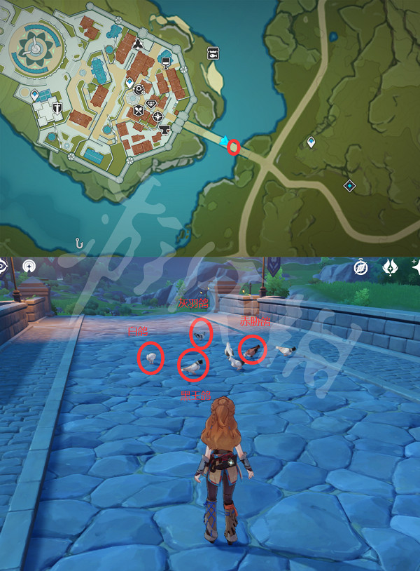 《原神》禽鳥在哪抓?全禽鳥捕捉位置一覽 《原神》禽鳥在哪抓?全禽鳥捕捉位置一覽