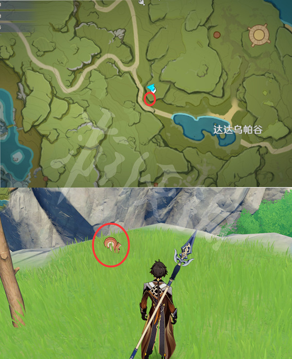 《原神》動物在哪捕捉?小動物捕捉位置分享 《原神》動物在哪捕捉?小動物捕捉位置分享