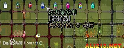 《泰拉瑞亞》理髮師詳細圖文介紹