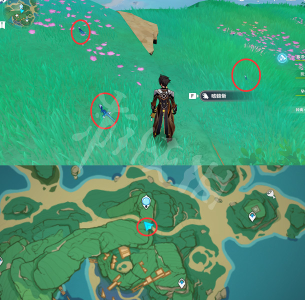 《原神》蜥蜴在哪抓?全種類蜥蜴捕捉位置介紹 《原神》蜥蜴在哪抓?全種類蜥蜴捕捉位置介紹