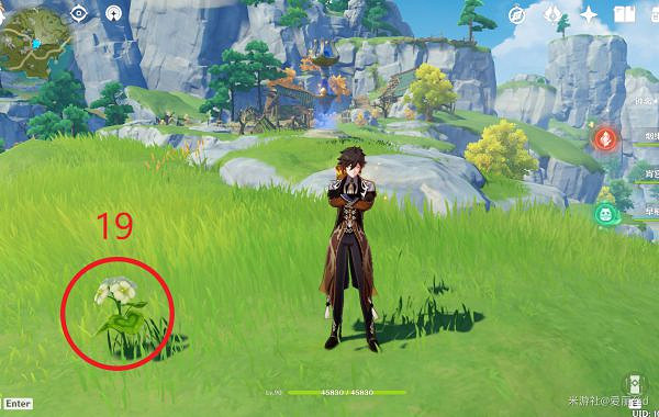 《原神》璃月特產是什麽？清心採集路線推薦