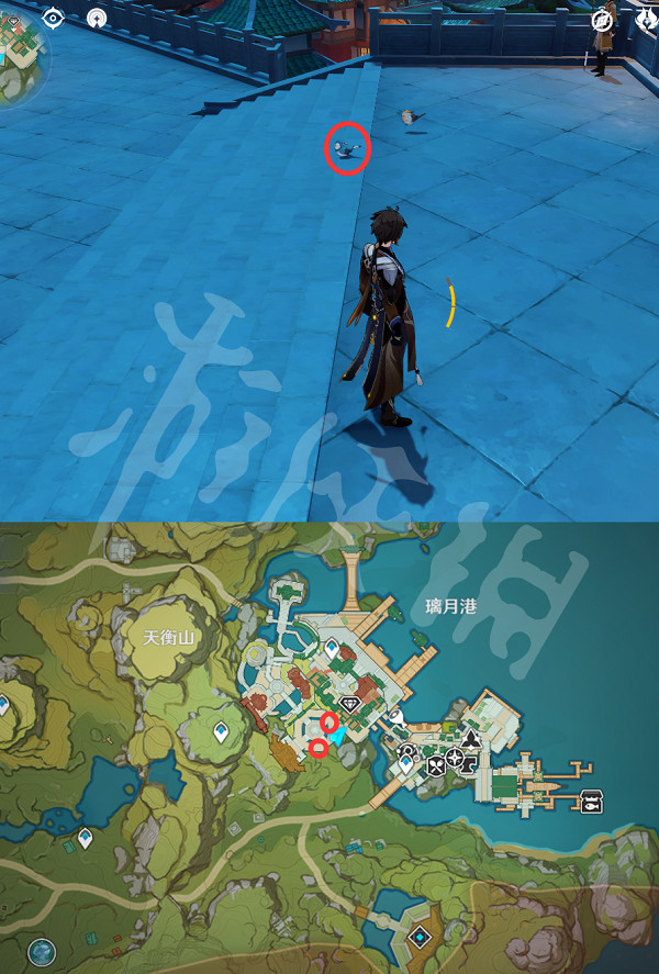 《原神》禽鳥在哪抓?全禽鳥捕捉位置一覽 《原神》禽鳥在哪抓?全禽鳥捕捉位置一覽