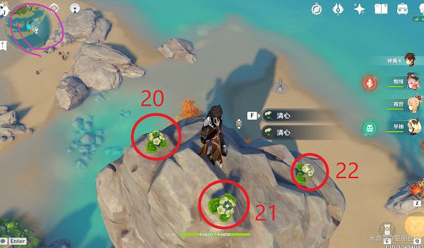 《原神》璃月特產是什麽？清心採集路線推薦