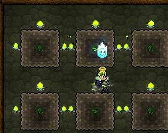 《泰拉瑞亞》葉綠礦石種植方法解析攻略