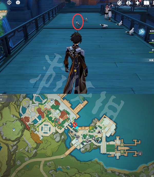 《原神》禽鳥在哪抓?全禽鳥捕捉位置一覽 《原神》禽鳥在哪抓?全禽鳥捕捉位置一覽