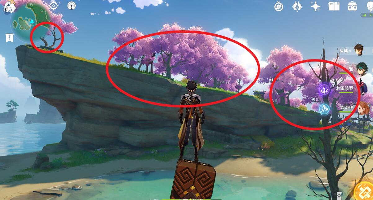 《原神》夢見木在哪砍伐？禦伽木和孔雀木位置分享