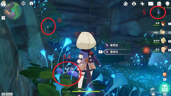 《原神》鬼兜蟲哪裡多?鬼兜蟲收集點位介紹 《原神》鬼兜蟲哪裡多?鬼兜蟲收集點位介紹