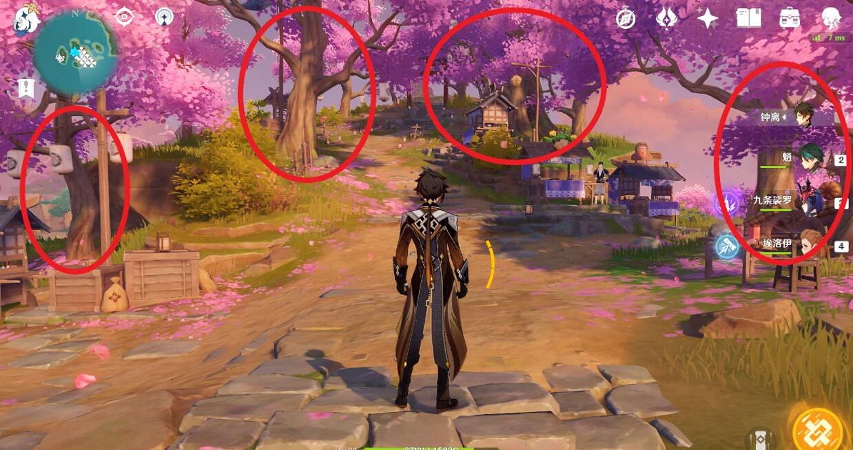 《原神》夢見木在哪砍伐？禦伽木和孔雀木位置分享