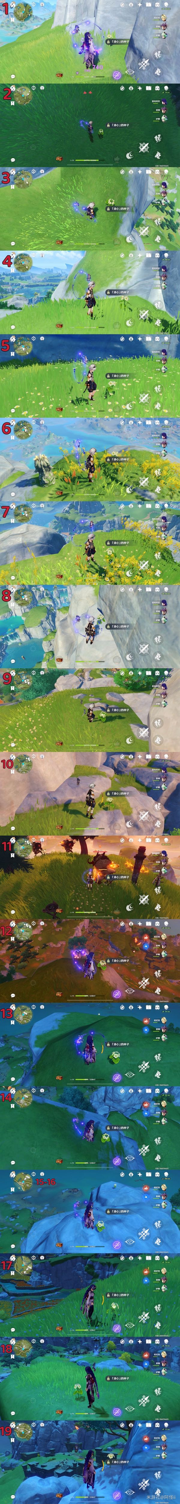 《原神》清心如何快速收集?快速收集清心路線介紹 《原神》清心如何快速收集?快速收集清心路線介紹