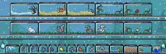 《泰拉瑞亞》小動物捕捉全指南